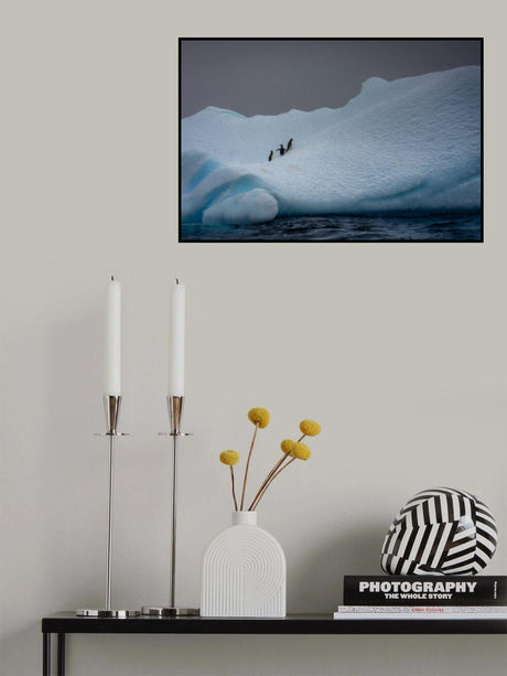 Snowy Iceberg Home to Three Penguins Poster och Canvastavla