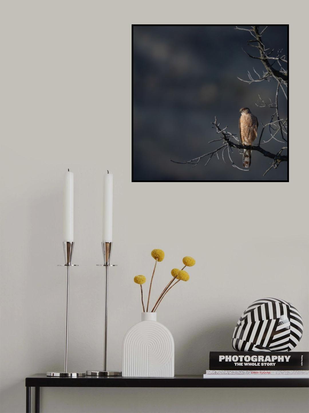 In the setting sun Poster och Canvastavla