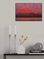 Winged Sunset Poster och Canvastavla