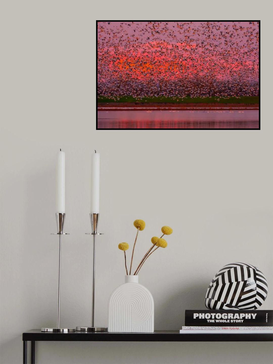 Winged Sunset Poster och Canvastavla
