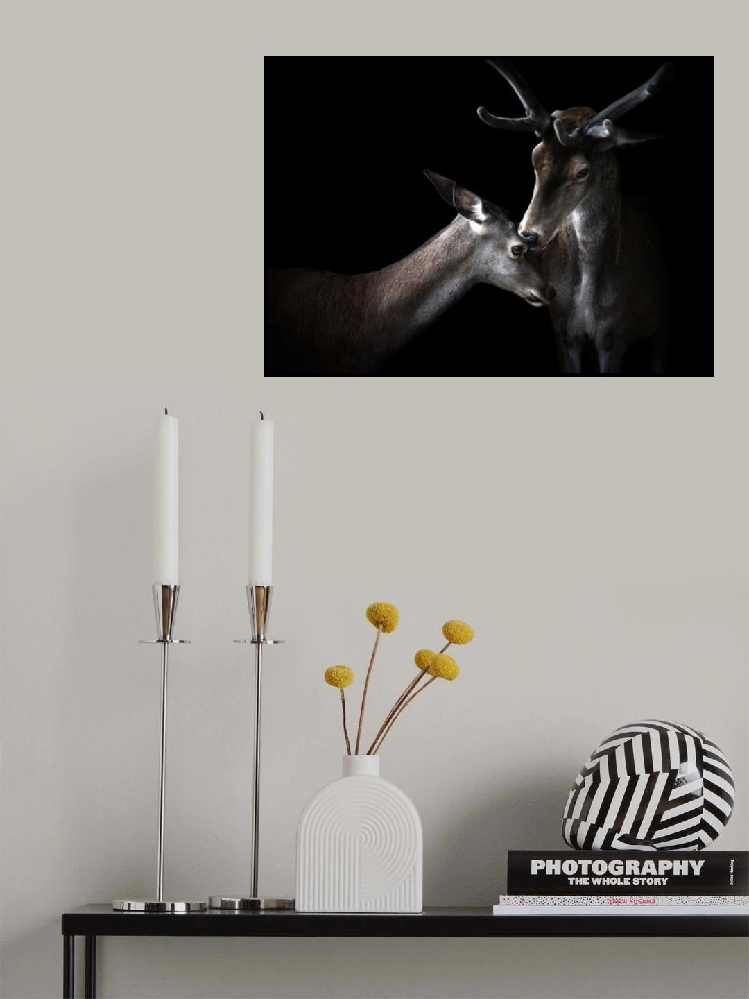 Tenderness Poster och Canvastavla