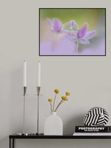 Purple dreams. Poster och Canvastavla