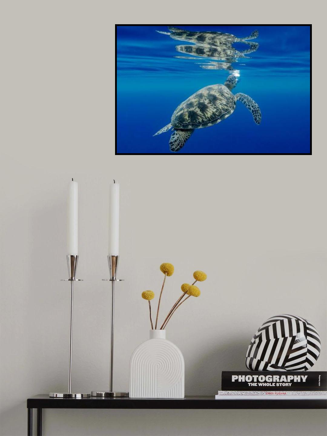 Exhale Poster och Canvastavla