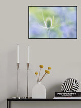 at the bird house Poster och Canvastavla