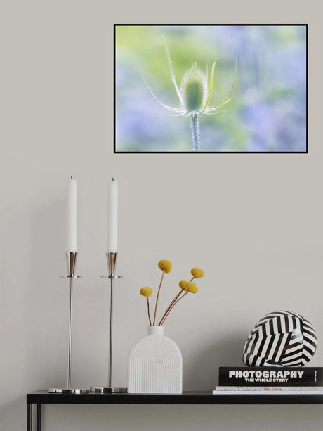 at the bird house Poster och Canvastavla
