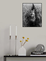 Womble, the dog Poster och Canvastavla