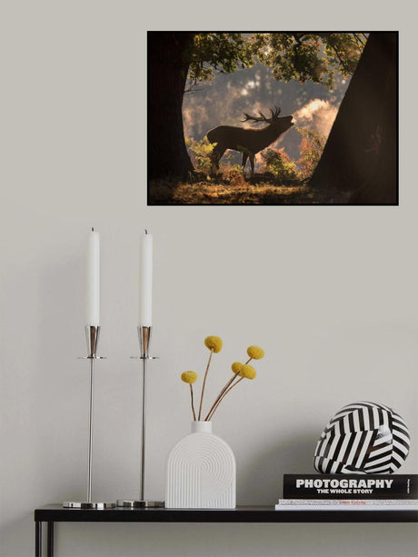 He Waits in the Shadows Poster och Canvastavla