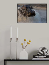 The Hippo Poster och Canvastavla
