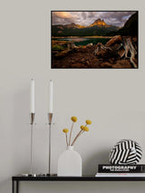 Octopus Poster och Canvastavla