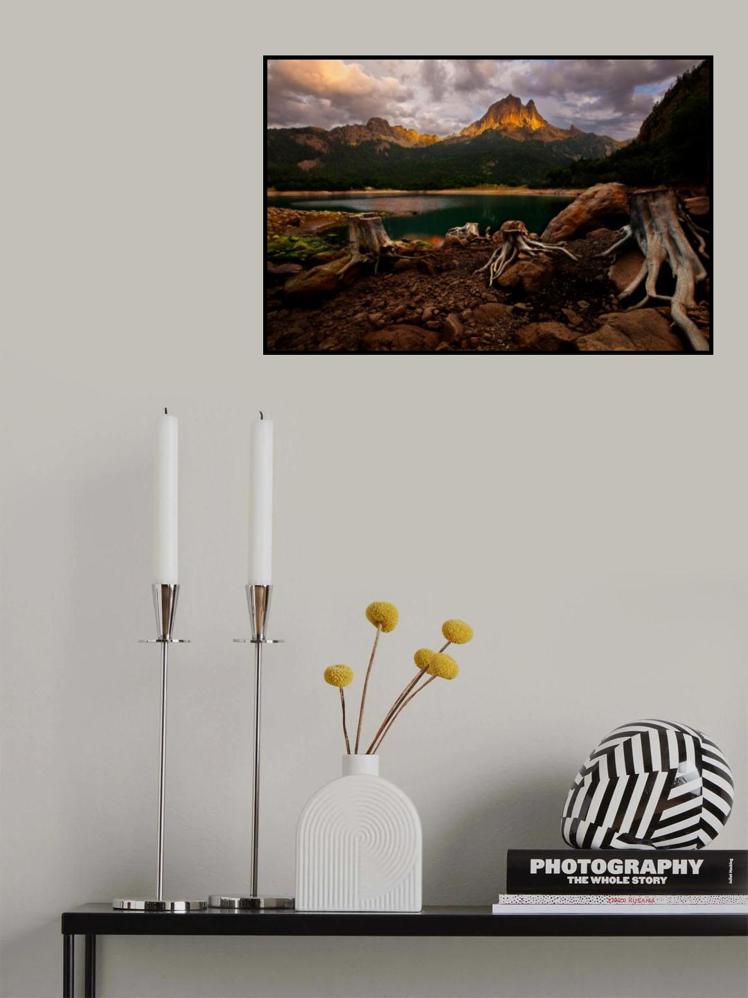Octopus Poster och Canvastavla