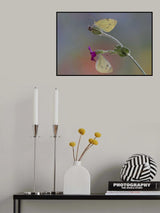 Double Poster och Canvastavla