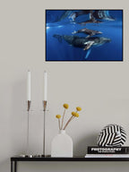 Reflections Poster och Canvastavla