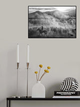 Rider on the roll Poster och Canvastavla