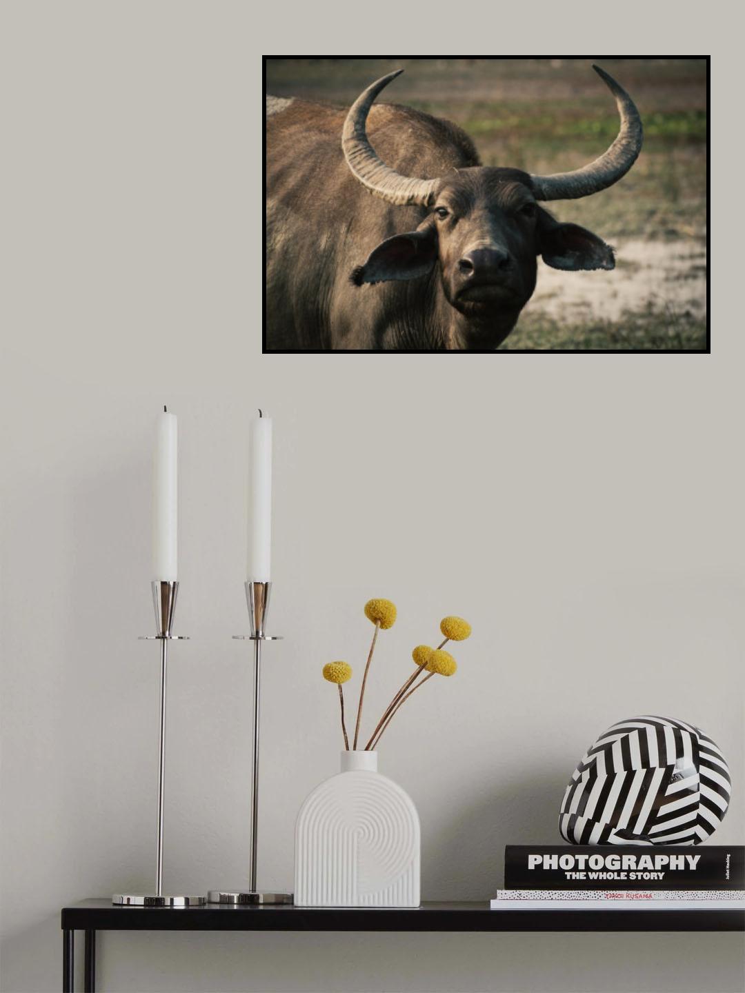 buff Poster och Canvastavla