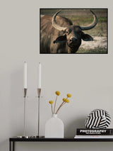 buff Poster och Canvastavla