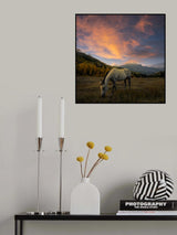The Paradise Poster och Canvastavla
