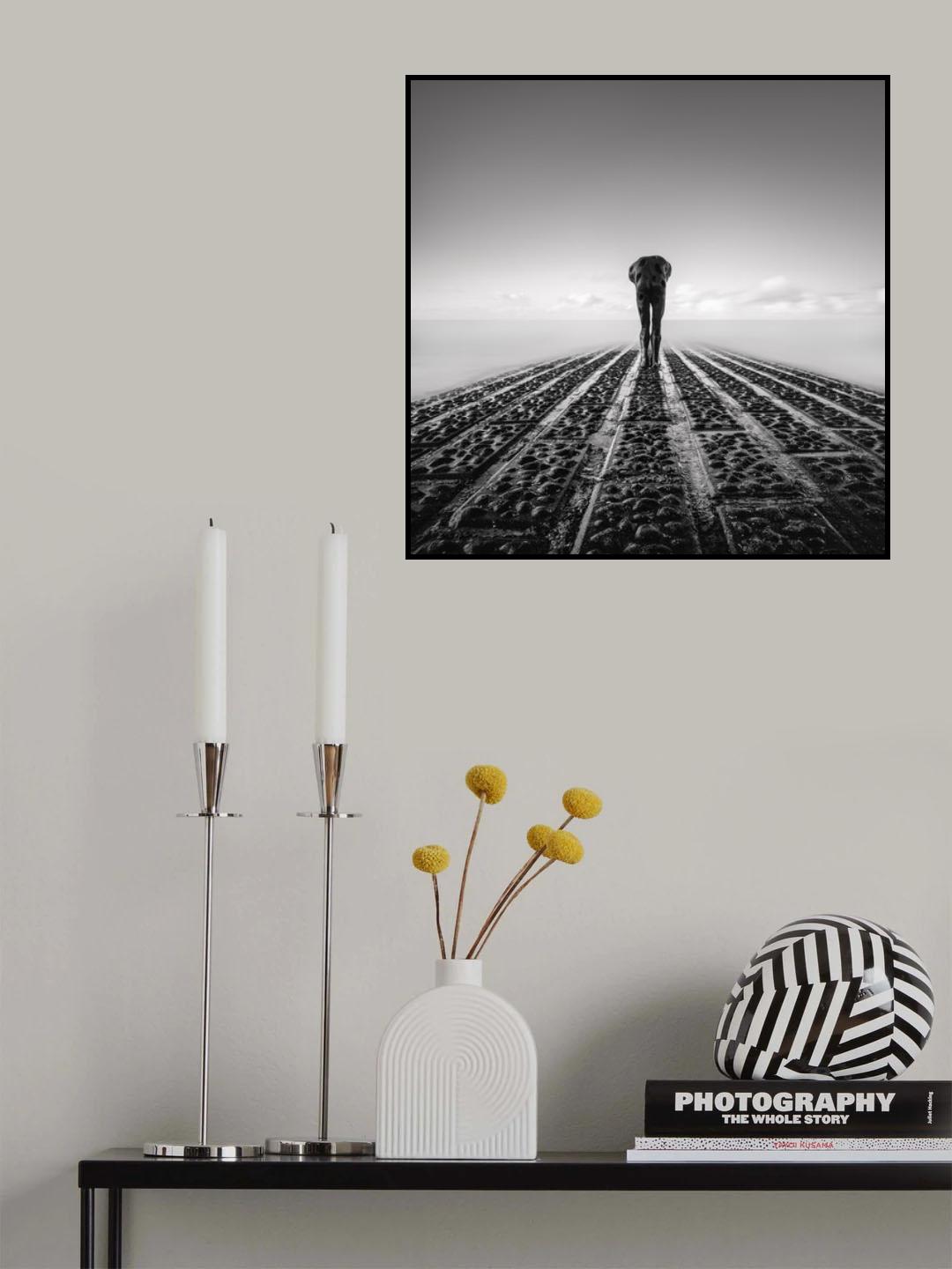 Tomorrow Man Poster och Canvastavla