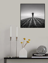 Tomorrow Man Poster och Canvastavla
