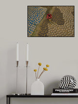 Coloring of clay pots Poster och Canvastavla