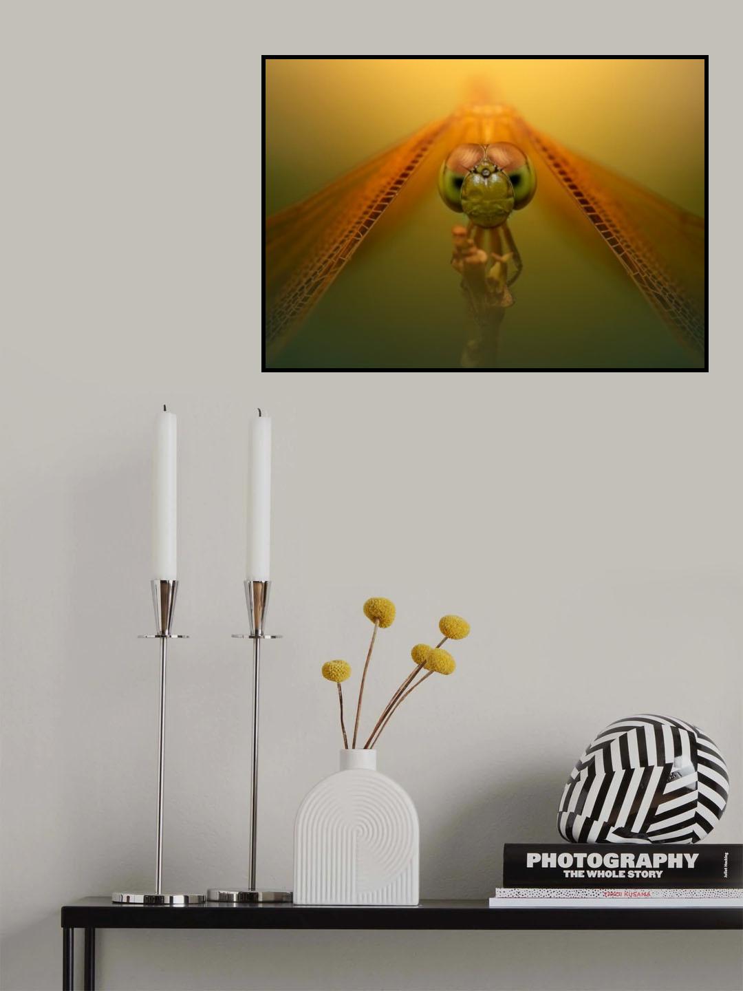 Queen of the Dragon Poster och Canvastavla