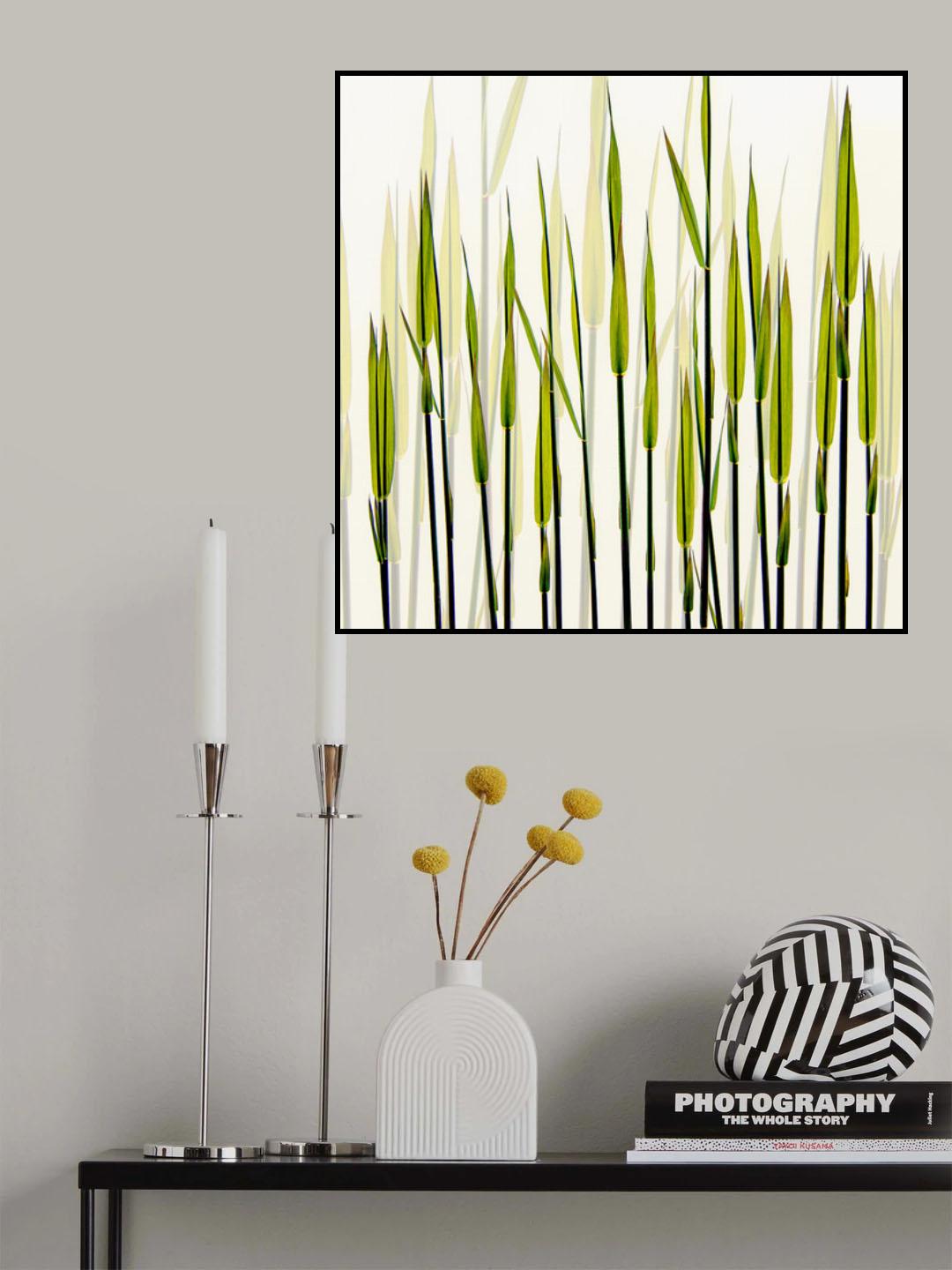 A new beginning Poster och Canvastavla