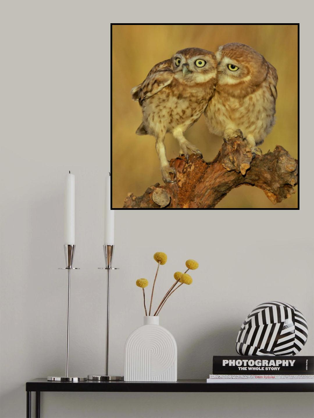 Three eyes Poster och Canvastavla