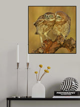 Three eyes Poster och Canvastavla
