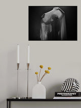 That light,3 Poster och Canvastavla