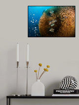 Glass and Lion Fish Poster och Canvastavla