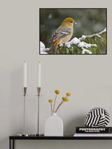 Christmas card Poster och Canvastavla