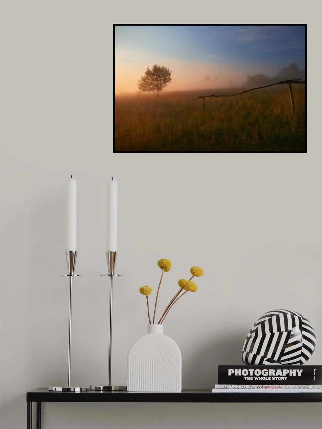 The summer field Poster och Canvastavla