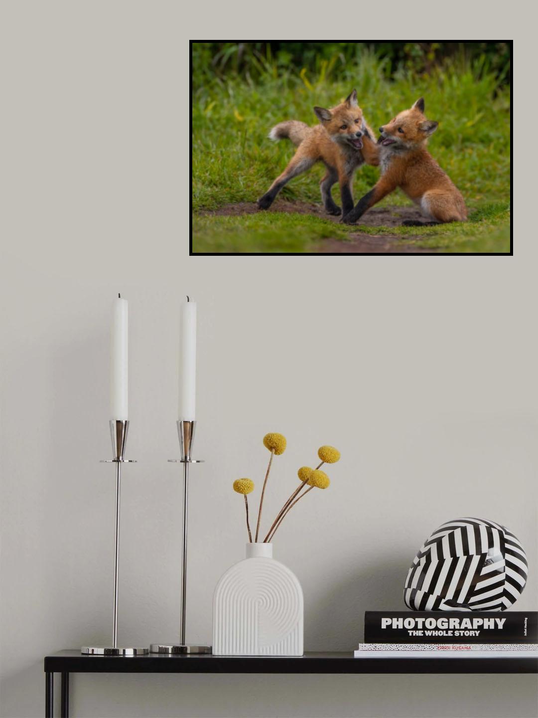 Red fox Poster och Canvastavla