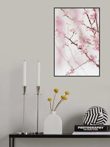 Cherry Blossom No.1 Poster och Canvastavla