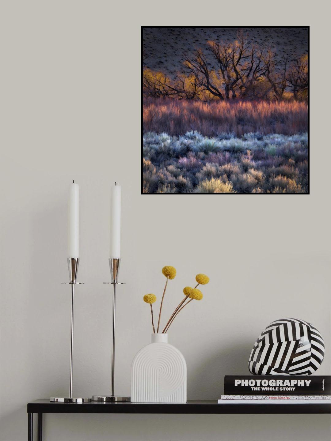 Buttermilk Hills Morning Poster och Canvastavla