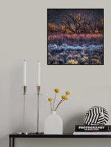 Buttermilk Hills Morning Poster och Canvastavla