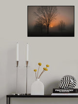 Awakening Poster och Canvastavla
