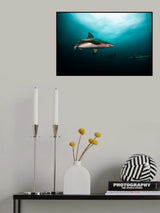 circling Poster och Canvastavla