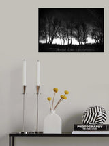 Poster och Canvastavla