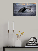 Humpback whale, the owner of Antarctic Ocean Poster och Canvastavla
