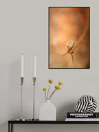 Look me in the eyes Poster och Canvastavla