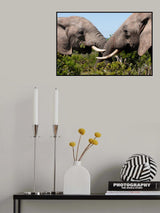 Img 1775 Poster och Canvastavla
