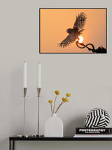 Poster och Canvastavla