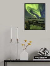 The Aliens´s Head Poster och Canvastavla