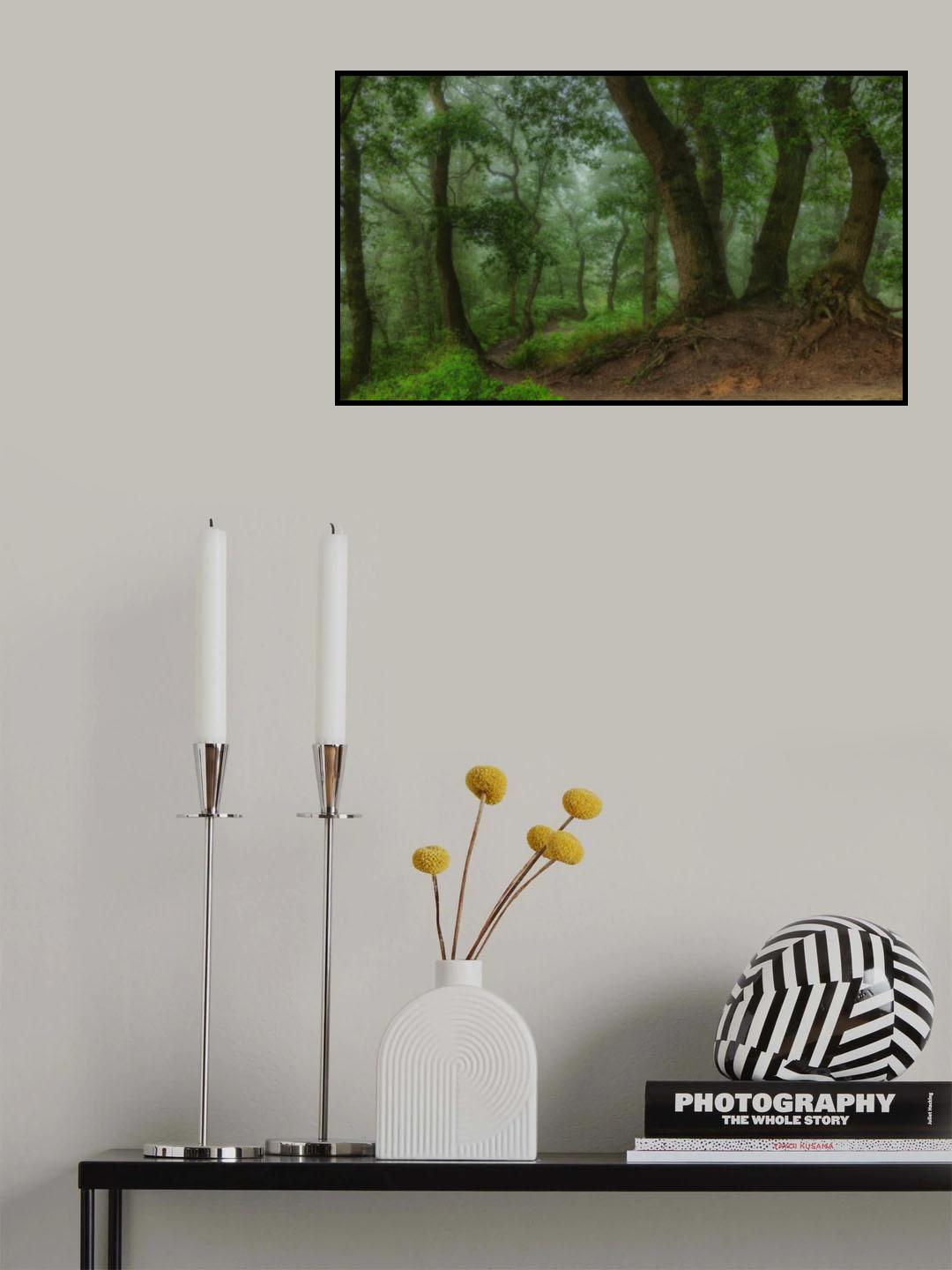 the path leading down the hill Poster och Canvastavla