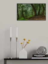 the path leading down the hill Poster och Canvastavla
