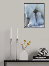 Polar bear mom feeding twins cub Poster och Canvastavla