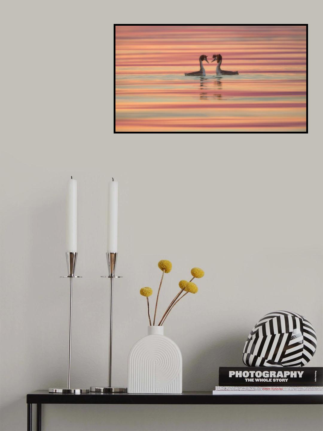 Lovers Poster och Canvastavla