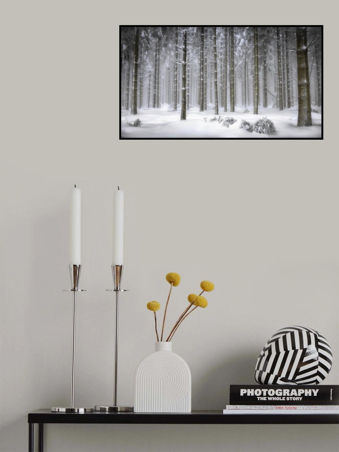 Magical Forest Poster och Canvastavla
