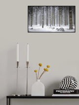 Magical Forest Poster och Canvastavla