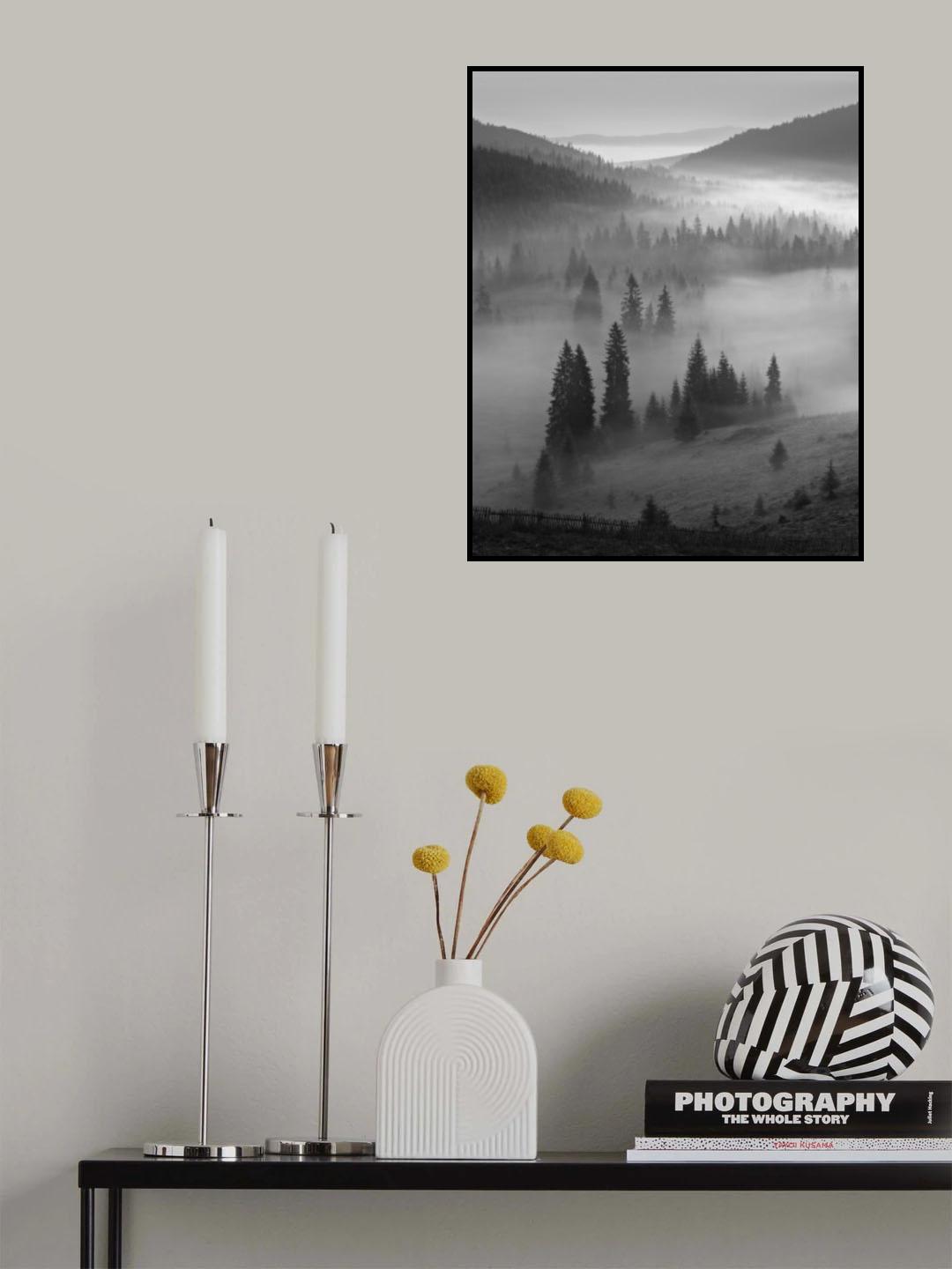 B&amp;W Fog Poster och Canvastavla